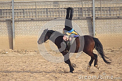 Horsemanship performance Editorial Stock Photo