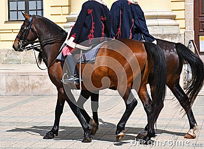 Horsemen on the street on horses Stock Photo