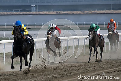 Horserace-7 Editorial Stock Photo