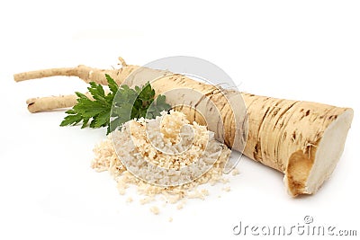 Horseradish Stock Photo