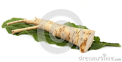 Horseradish Stock Photo