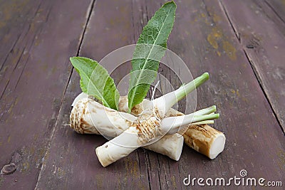 Horseradish roots with leaves Stock Photo