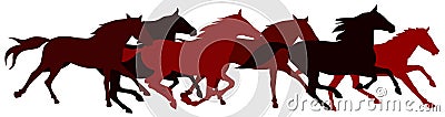 Horses Vector Illustration