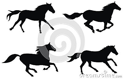 Horses Vector Illustration