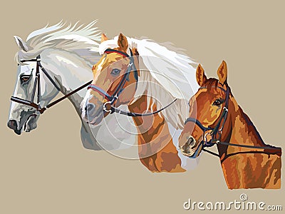 Horses in bridle Vector Illustration