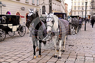 Horses with carriages on the old streets of Vienna Editorial Stock Photo