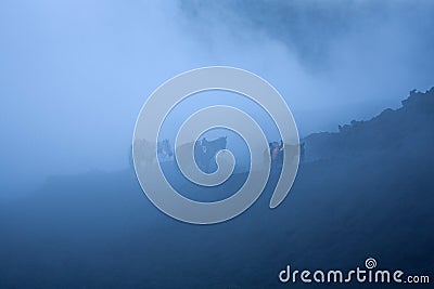 Horses in the fog, Pacaya volcano, Guatemala, evening Stock Photo