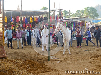 Horses gathered for trade at Indiaâ€™s top cattle festival at Pushkar Camel Fair. Editorial Stock Photo