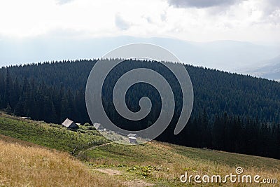 Horses grazed on a mountain pasture against mountains Stock Photo