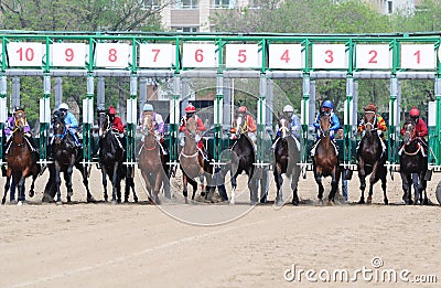 Horses jump out starting gate Editorial Stock Photo