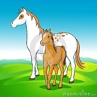 Horses on meadow - mare and foal Vector Illustration