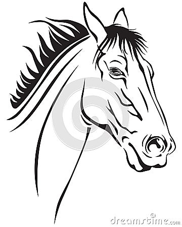 Horses muzzle Vector Illustration