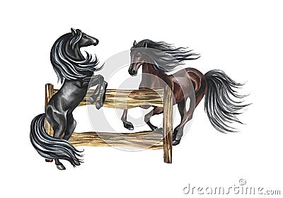 Horses near a wooden fence. Hand-drawn watercolor illustration. The horses get up and gallop. Isolate. For printing and Cartoon Illustration