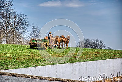 4 Horses Pulling an Antique Amish Manure Spreader so Farmer can Fertilize the Field on a Blue Sky Day Editorial Stock Photo