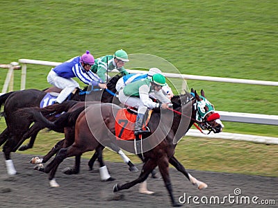 Horses Race Towards the Finish Line at Golden Gate Fields Editorial Stock Photo