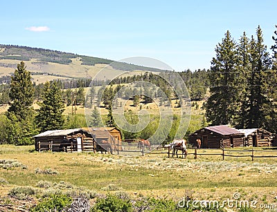 Horses in ranch corral Stock Photo