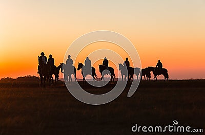 Horses Riders Silhouetted Dawn Stock Photo