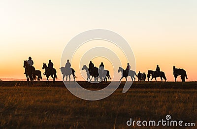 Horses Riders Silhouetted Dawn Stock Photo