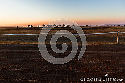 Horses Riders Silhouetted Dawn Stock Photo