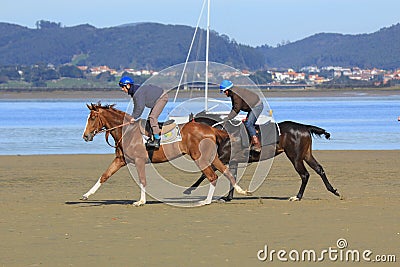 Horses running along the beach with the mountains and the sea in the background. They are mounted by two riders. Editorial Stock Photo