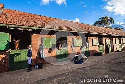 Horses Stables Woman Rider Editorial Stock Photo