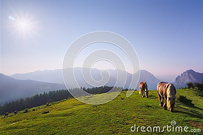 Horses in Urkiola mountains Stock Photo