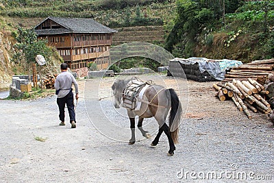 Horses are used for transport of goods in Longsheng, Guilin, China Editorial Stock Photo