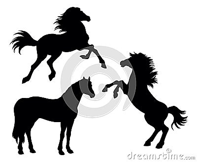 Horses. Vector drawing Vector Illustration