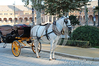 Horses with vintage carriages Stock Photo