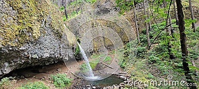 Horsetail and Poneytail waterfall Columbia River Gorge Oregon Stock Photo