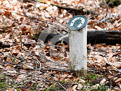 Horsetrack in a dutch forrest Stock Photo