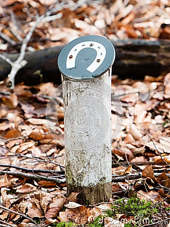 Horsetrack in a dutch forrest Stock Photo