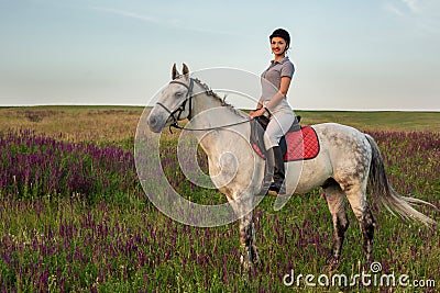 Horsewoman jockey in uniform riding horse outdoors Stock Photo