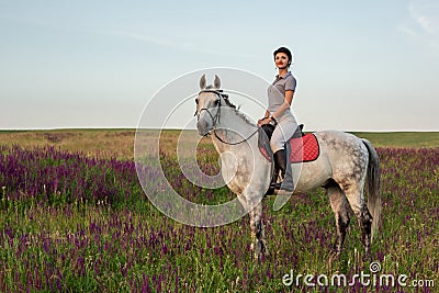 Horsewoman jockey in uniform riding horse outdoors Stock Photo