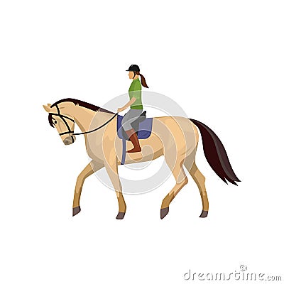 Horsewoman riding roan horse isolated against white background Vector Illustration