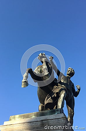 Horsrider fighting with horse Stock Photo