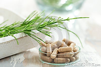 Horstail Herbs with alternative medicine herbal supplements and ptablet with glass mortar Stock Photo