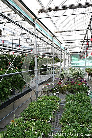 Horticulture Stock Photo