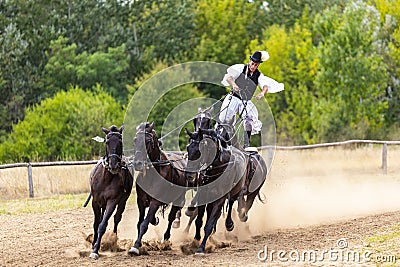 Hungarian herdsman - 