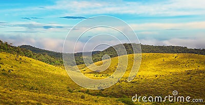 The Horton Plains Stock Photo