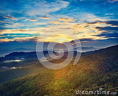 The Horton Plains. Landscape at sunrise Stock Photo