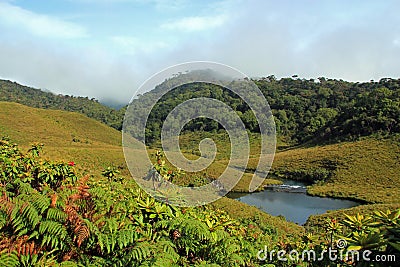 Horton Plains National Park Stock Photo