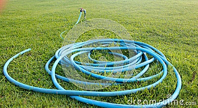 Hose set on garden Stock Photo