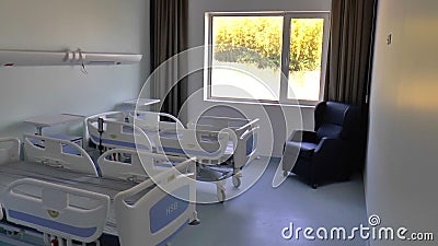 Bacteria Escherichia Coli Stock Footage Video Of Cell Bacteria Escherichia Coli Stock Footage Video Of Cell