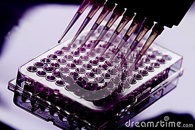 Hospital Medical Sample Tray Pipette Testing Laboratory Stock Photo