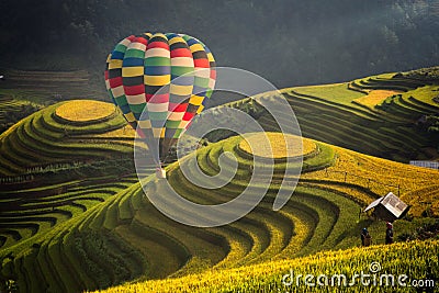 Hot air balloon over rice field in Mu cang chai Stock Photo