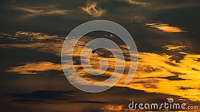 Hot air balloon in the Sunset with dramatic clouds and colors Stock Photo