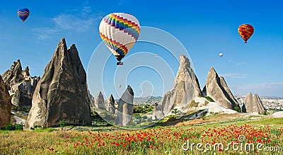 Hot air balloons flying over a field of poppies, Cappadocia, Turkey Stock Photo