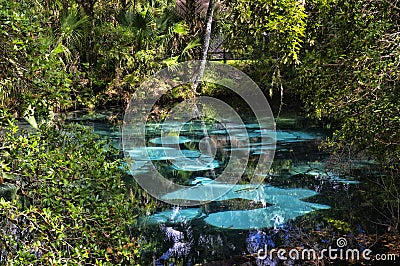 The hot blue and emerald geothermal pools. Juniper Springs Florida. Stock Photo