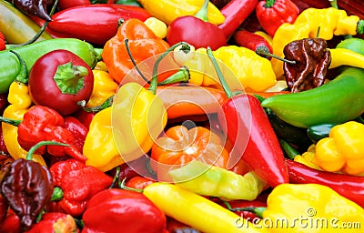 Hot chili peppers Stock Photo